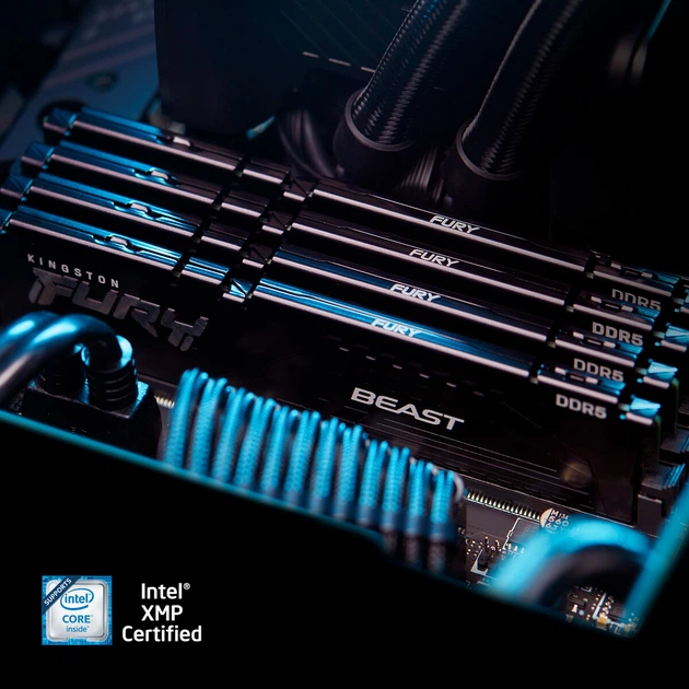 Оперативна пам'ять Kingston Fury DDR5-6000 16384MB PC5-48000 Beast Black (KF560C30BBE-16) - зображення 11