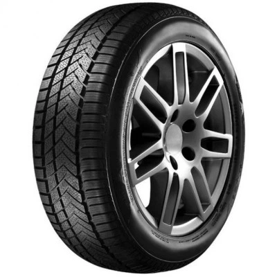 Шина Sunny 225/35R19 88V XL NW211 (14961290913) – фото, отзывы ...