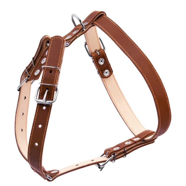 Кожанная шлея двойная "Collar" для собак средних пород. L, Ш. 25мм, А ...