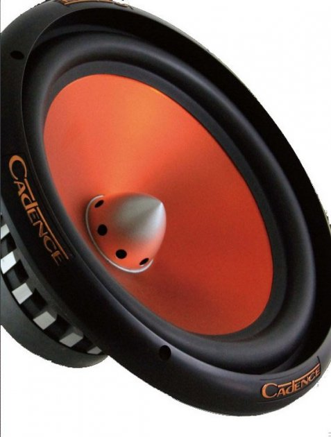 Автомобильный сабвуфер Cadence UD 8D2 – фото, отзывы, характеристики в ...