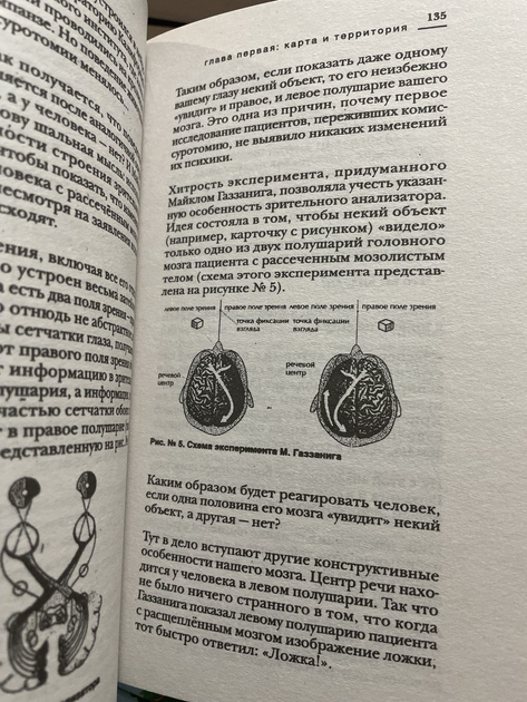 Книга Чертоги разума - Андрей Курпатов от продавца: Книгожуй – купить в ...