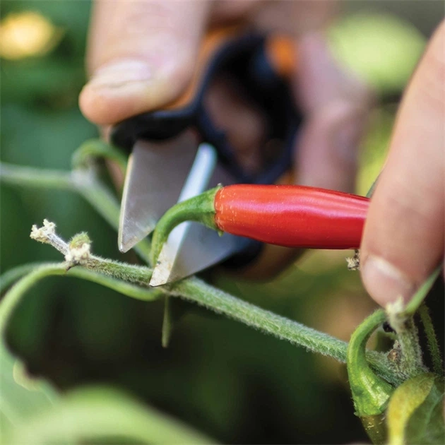 Nożyczki do ziół Fiskars Solid Herb Snips SP-220 (1063326) - obraz 4