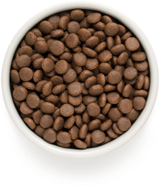 Сухой корм для собак Grandorf Junior ягненок с рисом 1 кг ...