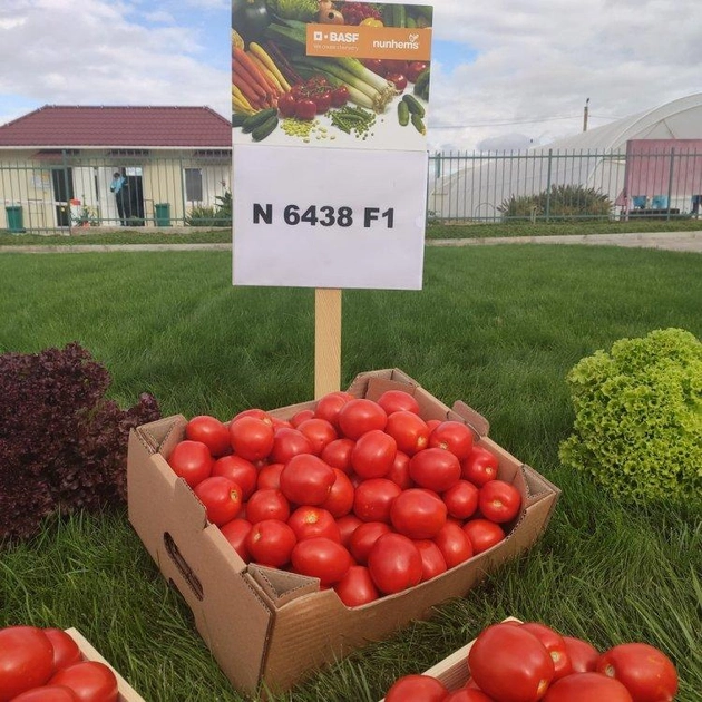 Семена томат�� Новый Солероссо F1 (New Solerosso) ультра ранний. Nunhems,Голландия 50 штук. (Nunhems) (41576) – фото, отзывы, характеристики винтернет-магазине ROZETKA от продавца: Market Seeds