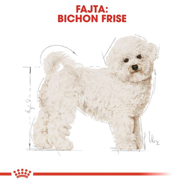 Royal Canin Bichon Frise Adult