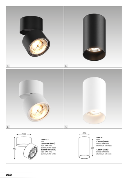 Точечный светильник Zuma Line 92679 TUBA SL 1 WHITE - изображение 3