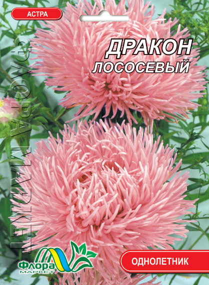 Насіння - Айстра Дракон лососевий // 0,3 г. - Фото 1 Насіння - Айстра Дракон лососевий // 0,3 г. - зображення 1