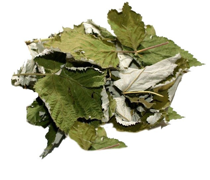 Малина (лист) 0,25 кг - зображення 1