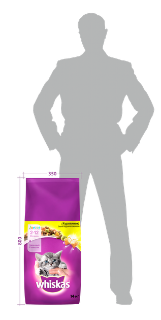 Sucha karma dla kociąt WHISKAS Junior z kurczakiem 14 kg (5900951014369) - obraz 3