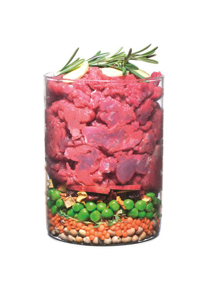Сухий корм для собак Carnilove True Fresh BEEF for Adult dogs з яловичиною 4 кг (8595602546046) - зображення 3