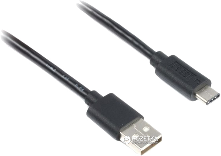 Kabel Cablexpert USB typ C na USB typ A 1 m (CCP-USB2-AMCM-1M) - obraz 1