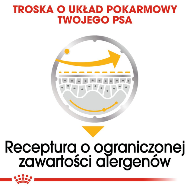 Opakowanie mokrej karmy dla psów Royal Canin Dermacomfort 12 szt x 85 g (9003579008812) - obraz 5