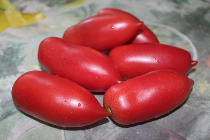 Семена Томат Карминные свечи, 0,1 г (GL Seeds) - изображение 2