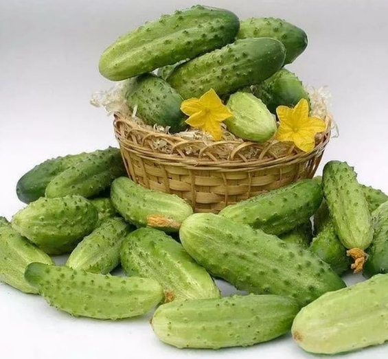 Семена Огурец Степной засолочный, 200 шт (Солнечный март) - изображение 3