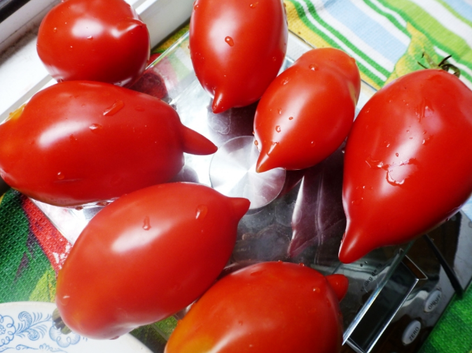 Семена Томат Королевский пингвин, 0,15 г (GL Seeds) - изображение 5