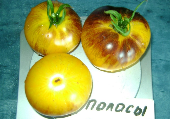 Семена Томат Полоски былых времен, 0,1 г (GL Seeds) - Фото 4 Семена Томат Полоски былых времен, 0,1 г (GL Seeds) - изображение 4