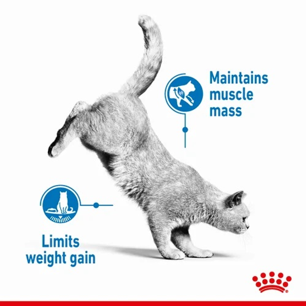 Упаковка вологого корму для дорослих кішок Royal Canin Light Weight Care шматочки в желе 12 х по 85 г (9003579311806) - зображення 10