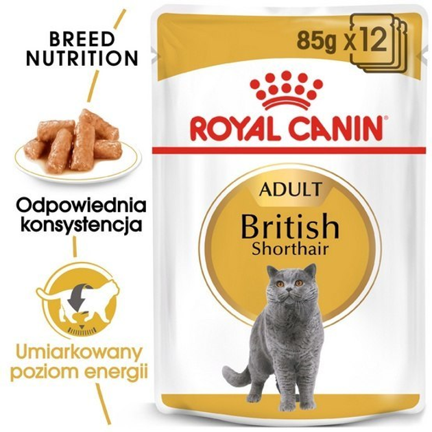 Упаковка вологого корму для дорослих кішок Royal Canin British Shorthair Adult 12 x 85 г (9003579001240) - зображення 4