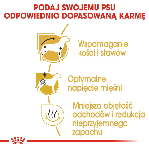 Sucha karma pełnoporcjowa dla psów Royal Canin Dachshund Adult dla rasy jamnik w wieku od 10 miesięcy i starsze 1.5 kg (3182550717335) (3059015) - obraz 5