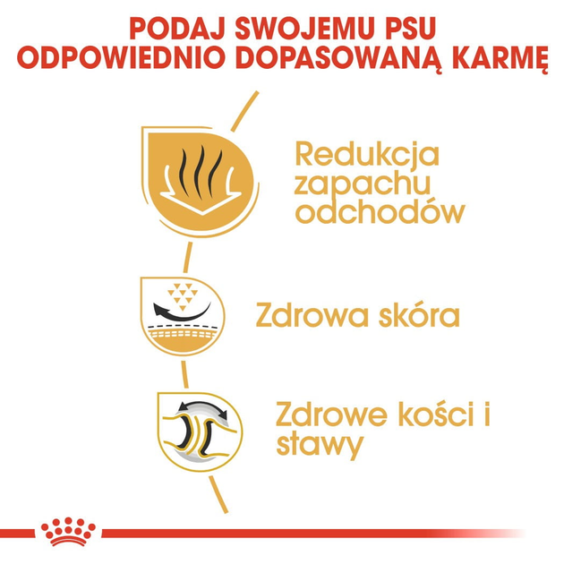 Sucha karma pełnoporcjowa Royal Canin Bulldog Adult rasy buldog w wieku 12 miesięcy i starszych 12 kg (3182550719803) (2590120) - obraz 5
