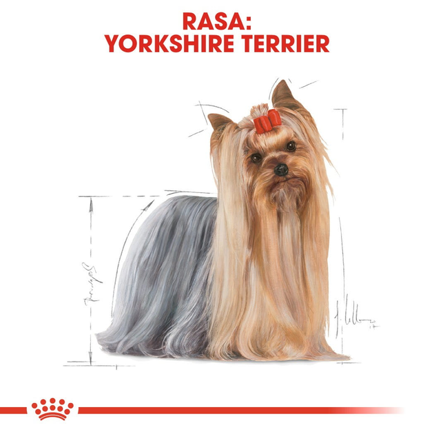 Sucha karma dla psów Yorkshire Terrier Royal Canin 7.5 kg (3182550716925) (3051075) - obraz 4