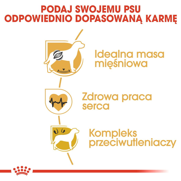 Сухий корм для собак Boxer Royal Canin 12кг (3182550719766) - зображення 5