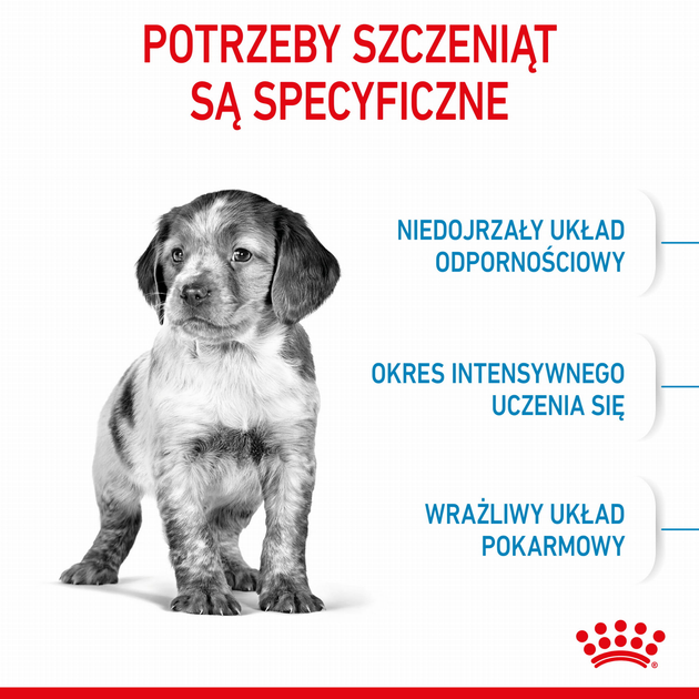 Sucha karma dla szczeniąt Royal Canin Puppy M 1kg (3182550402439) (97268) (30030101) - obraz 5