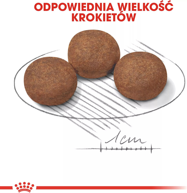 Sucha karma dla szczeniąt Royal Canin Puppy M 1kg (3182550402439) (97268) (30030101) - obraz 3