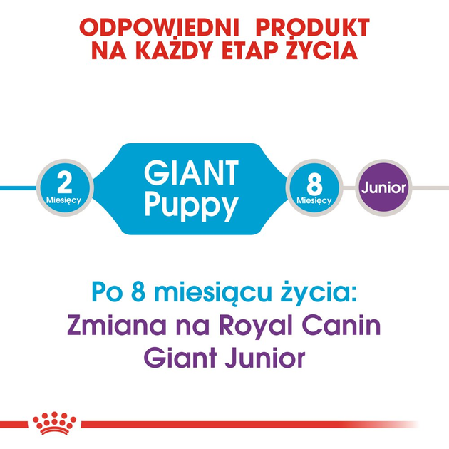 Sucha karma dla szczeniąt Royal Canin Puppy Giant 15 kg (3182550707046) (94034) (3030150) - obraz 5