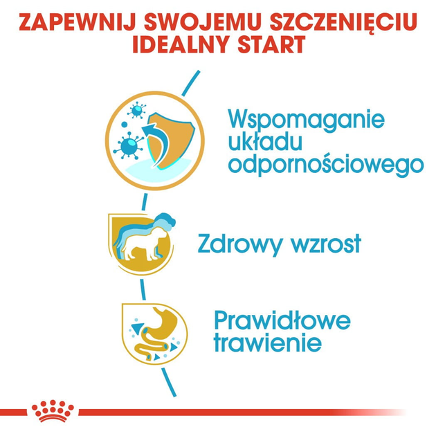 Sucha karma dla szczeniąt Royal Canin Jack Russel Puppy 1.5 kg (3182550822121) (21010151) - obraz 6