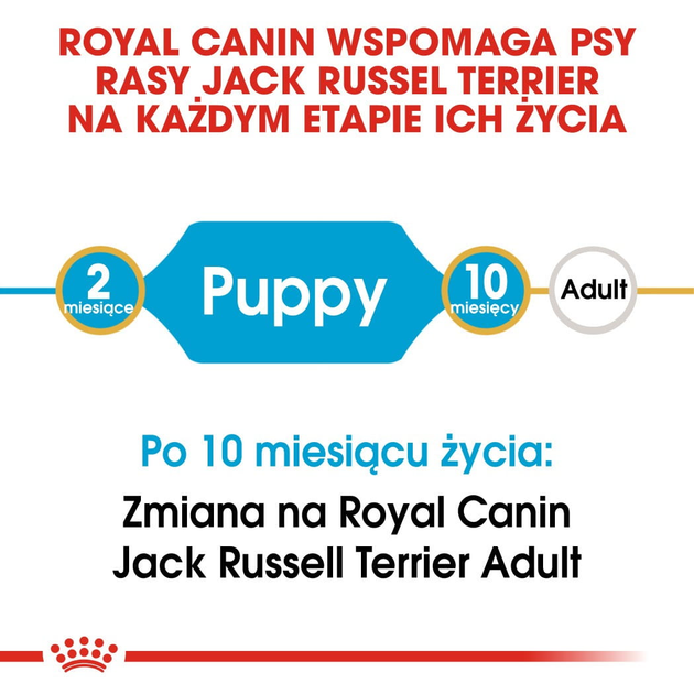 Sucha karma dla szczeniąt Royal Canin Jack Russel Puppy 1.5 kg (3182550822121) (21010151) - obraz 7