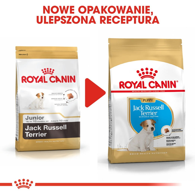 Sucha karma dla szczeniąt Royal Canin Jack Russel Puppy 1.5 kg (3182550822121) (21010151) - obraz 3