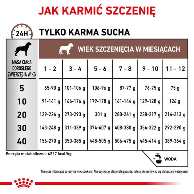 Sucha karma dla szczeniąt Royal Canin GastroIntestinal Junior na problemy trawienne 2.5kg (3182550771030) (39570251) - obraz 5
