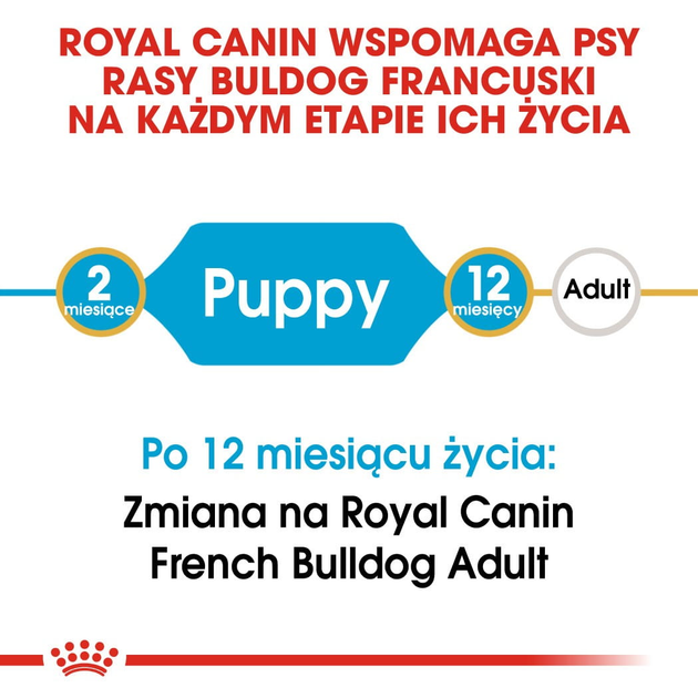 Сухий корм для цуценят Французький бульдог Royal Canin Puppy 3 кг (3182550811705) (3990030) - зображення 5
