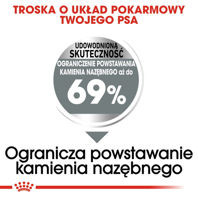 Sucha karma dla psów Royal Canin Mini Dental Care 3 kg (3182550894371) (12210309) - obraz 3