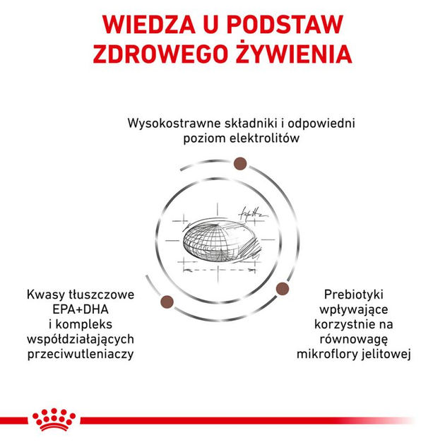 Сухий корм для собак Royal Canin GastroIntestinal у разі порушення травлення 2 кг (3182550771054) (94903) (39110201) - зображення 4