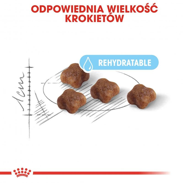Sucha karma dla nowonarodzonych kociąt i kotów Royal Canin Mother & Babycat 4 kg (3182550707329) (2544040) - obraz 3