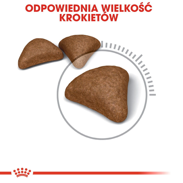 Sucha karma dla kotów Royal Canin Hairball Care 2 kg (3182550721400) (2534020) - obraz 4