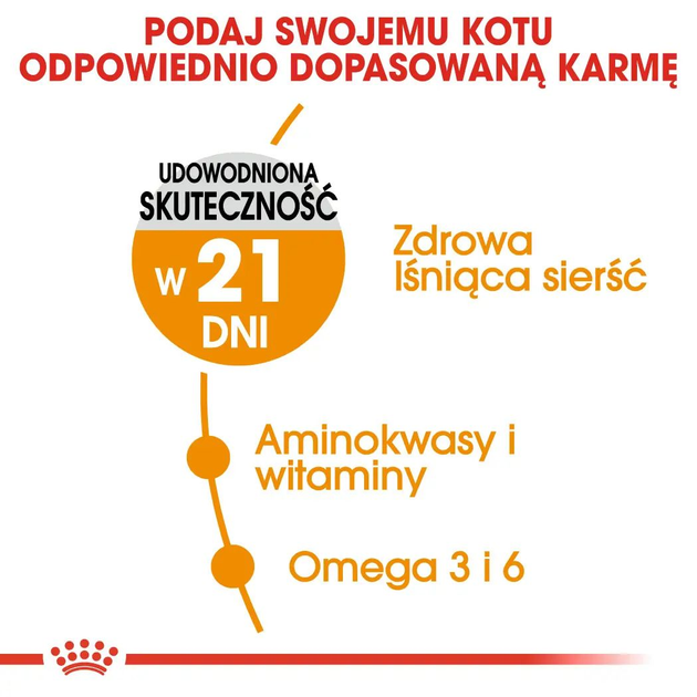 Sucha karma dla kotów Royal Canin Hair & Skin Care 10 kg (8251293/11419) (3182550721752/0262558721428) - obraz 5