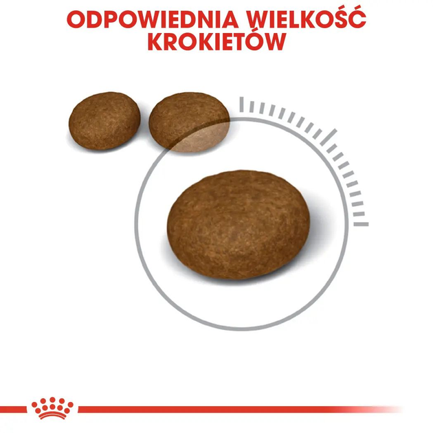 Sucha karma dla kotów Royal Canin Hair & Skin Care 10 kg (8251293/11419) (3182550721752/0262558721428) - obraz 6