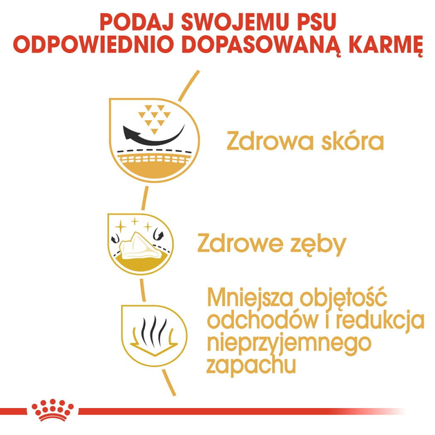 Sucha karma dla psów rasy shih tzu Royal Canin 1.5 kg (3182550743228) - obraz 4