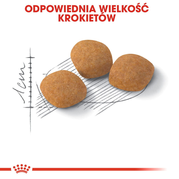 Сухой корм для котів Royal Canin Exigent Protein 400 г (3182550767149) (2542004) - зображення 4
