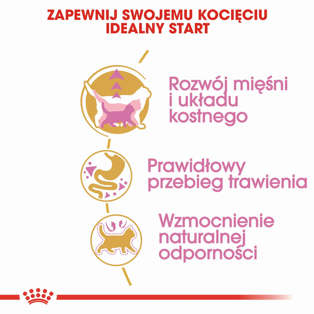 Sucha karma dla kociąt Royal Canin Kitten British Shorthair 2 kg (3182550816533) (2566020) - obraz 4