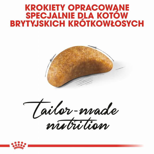 Sucha karma dla kociąt Royal Canin Kitten British Shorthair 2 kg (3182550816533) (2566020) - obraz 5