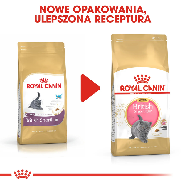 Sucha karma dla kociąt Royal Canin Kitten British Shorthair 2 kg (3182550816533) (2566020) - obraz 8