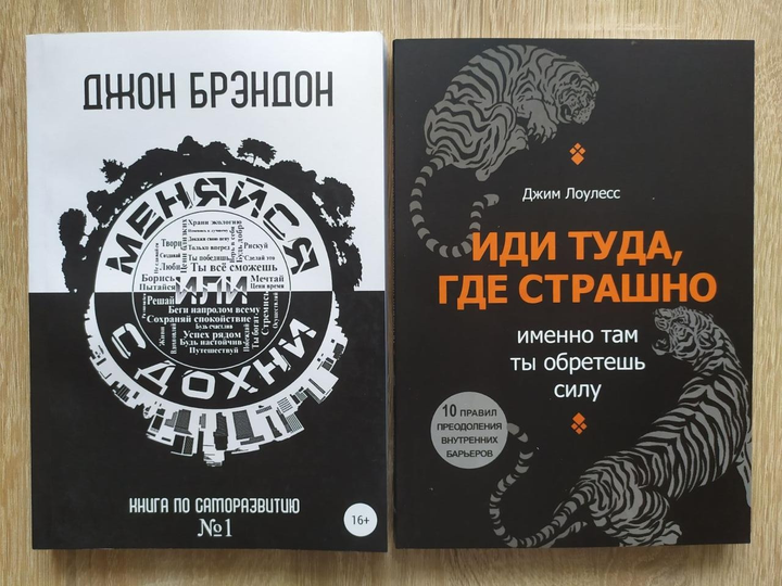 Иди туда, где страшно. Джим Лоулесс - ROZETKA. Купить недорого книгу ...