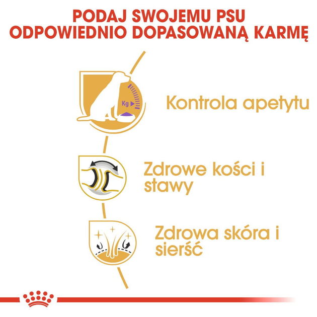 Sucha karma dla dorosłych psów Royal Canin Labrador Retriever Sterilised 12 kg (3182550787581) (3996120) - obraz 5