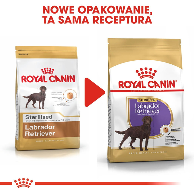 Sucha karma dla dorosłych psów Royal Canin Labrador Retriever Sterilised 12 kg (3182550787581) (3996120) - obraz 6