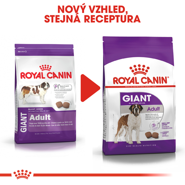 Sucha karma dla dorosłych psów ras olbrzymich Royal Canin Giant Adult w wieku powyżej 2 lat 15 kg (3182550703079) (91970) (3009150) - obraz 8