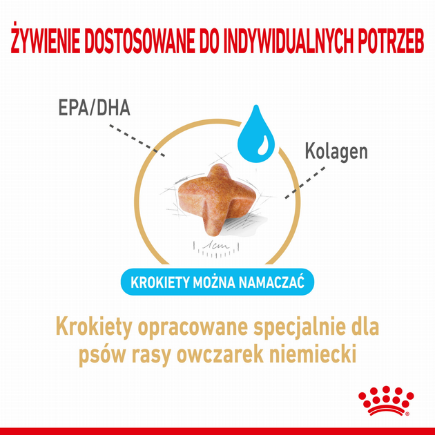 Sucha karma dla dorosłych psów Royal Canin German Shepherd 5+ 12 kg (3182550908399) (1340120) - obraz 4